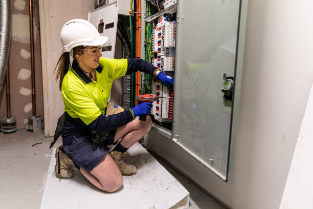 Best Electrical System Inspection  in Paw Paw, MI