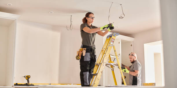 Best Electrician for Home Renovation  in Paw Paw, MI