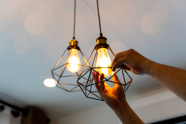 Best Outdoor Lighting Installation  in Paw Paw, MI