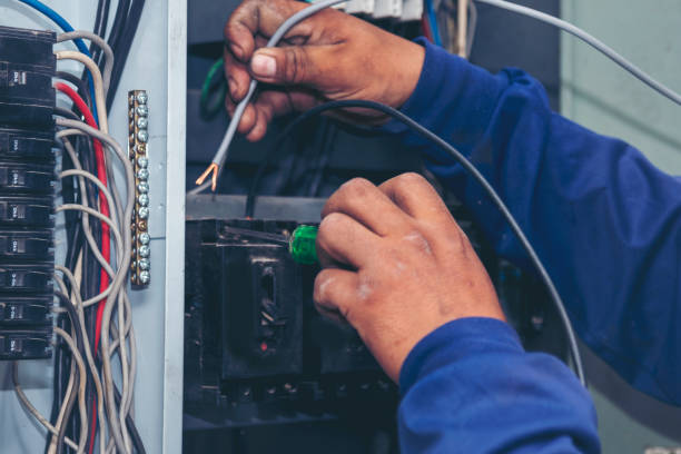 Best Home Electrical Repair  in Paw Paw, MI