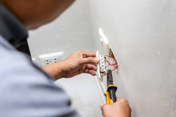 Best Electric Panel Repair  in Paw Paw, MI