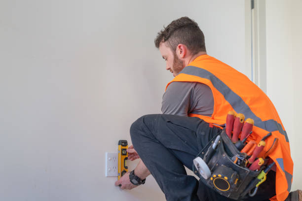 Best Generator Installation Services  in Paw Paw, MI